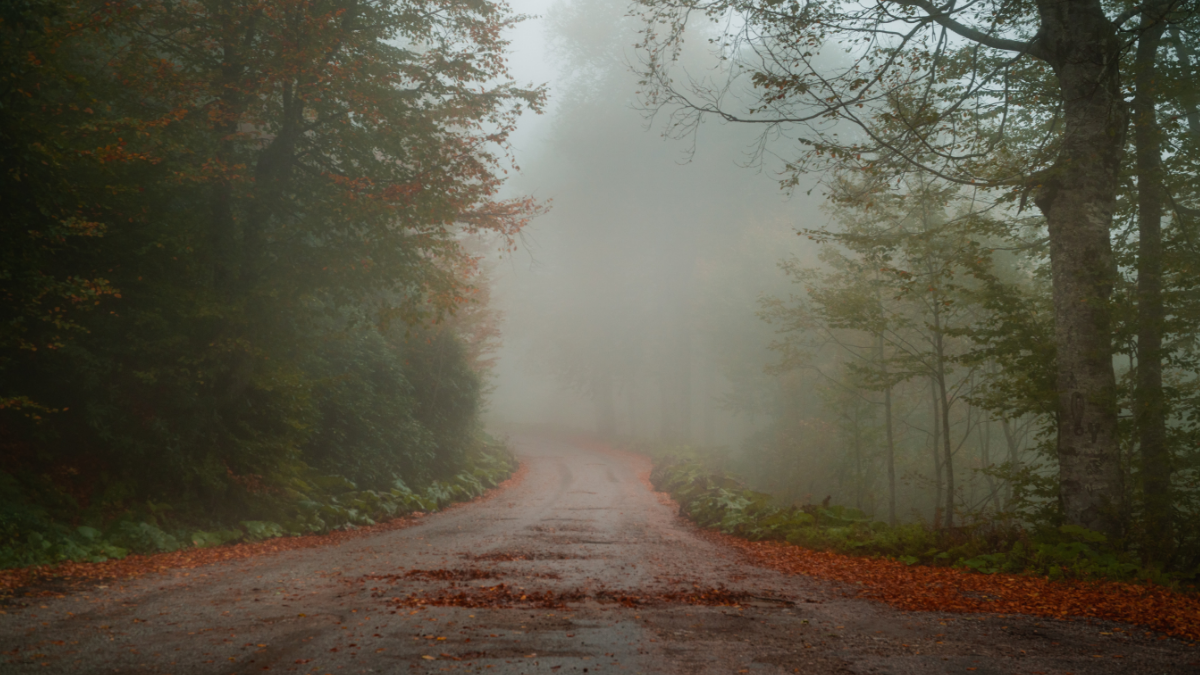 The UK's Most Haunted Roads for a Chilling Halloween Adventure Featured Image